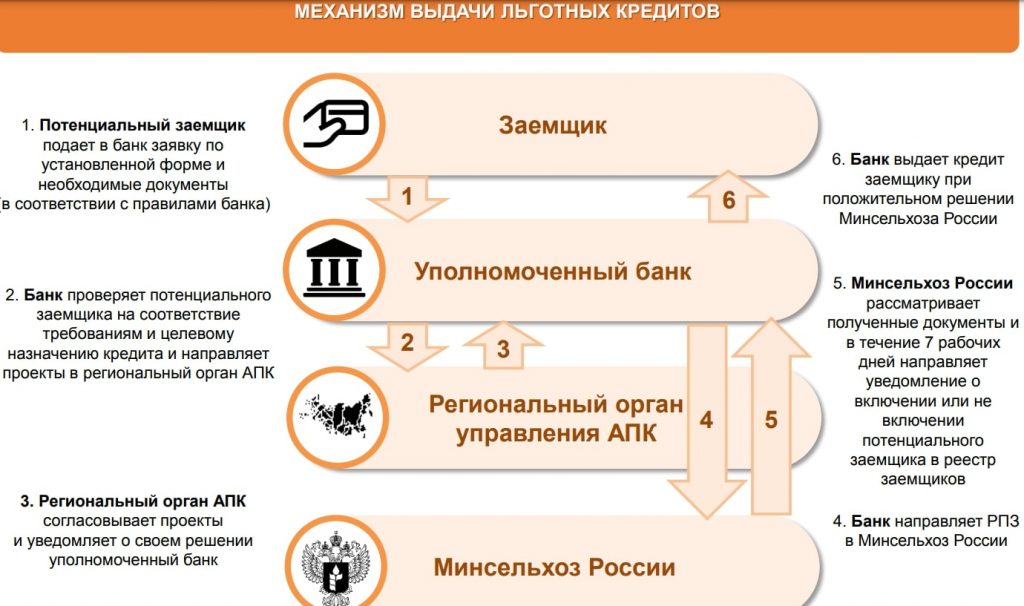 Какими способами государство поддерживает бизнес Какими способами государство поддерживает бизнес