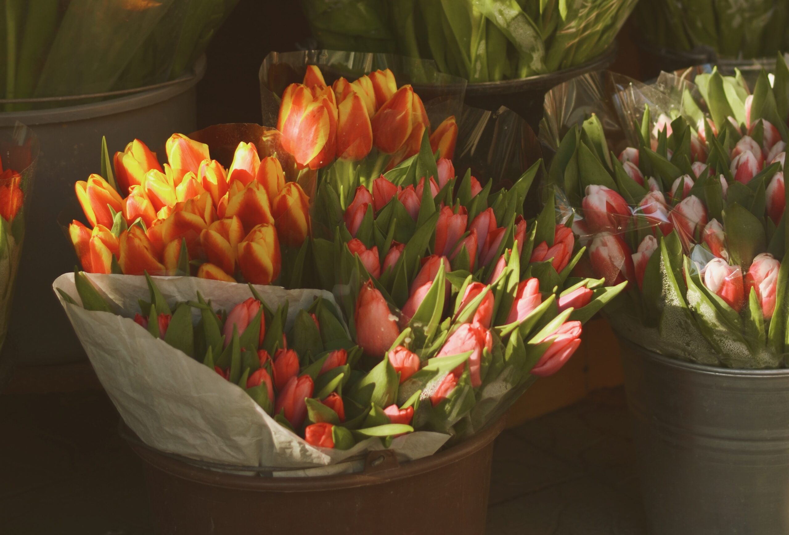 Онлайн-цветы с экспресс-доставкой: как наладить продажи с помощью маркетплейсов